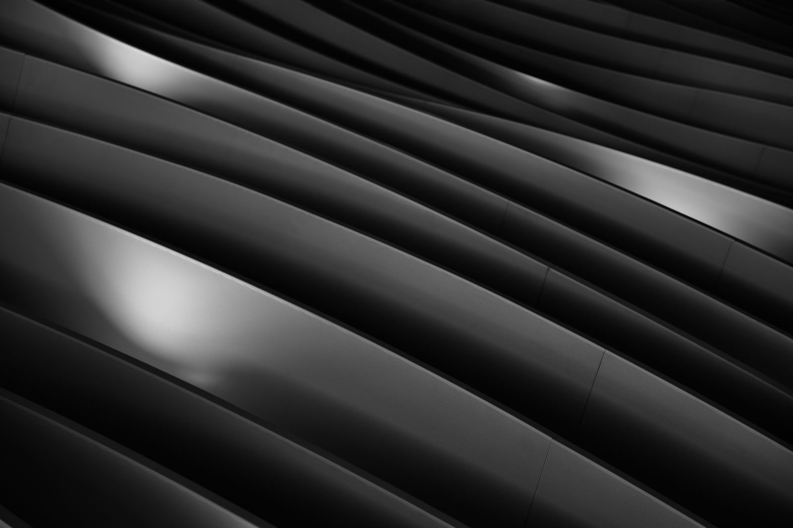Abstract curves of dark material caught in shafts of studio light